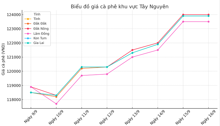 Bieu do gia ca phe ngay 16.9.2024_1726459097.png